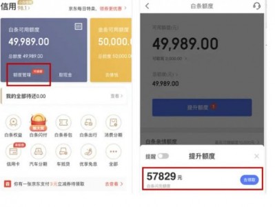 京东白条额度怎么提现？（官网购买手机转手出售是最佳的方法之一）