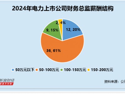 电力行业财务总监CFO观察：珈伟新能刘锡金2024年薪酬为94.8万元 然而归母净利润同比下滑1841%